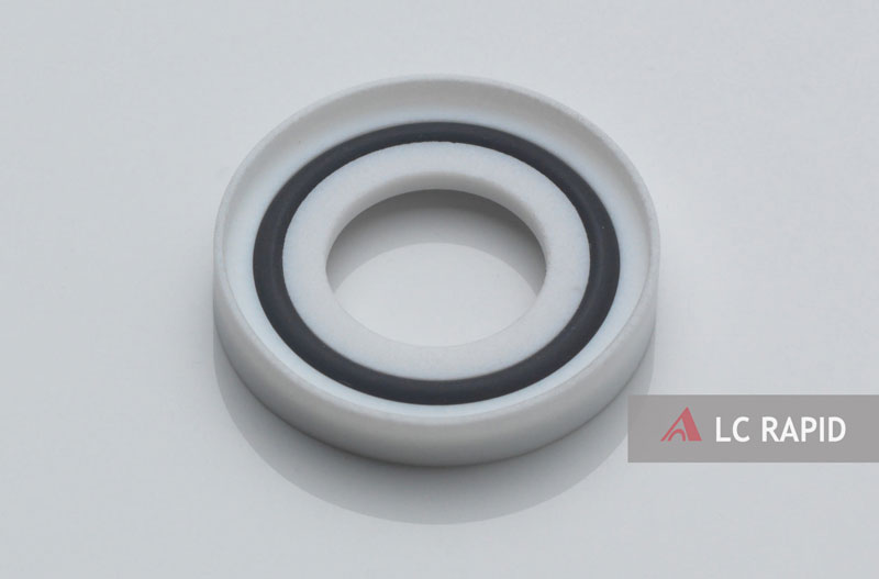 gasket seal